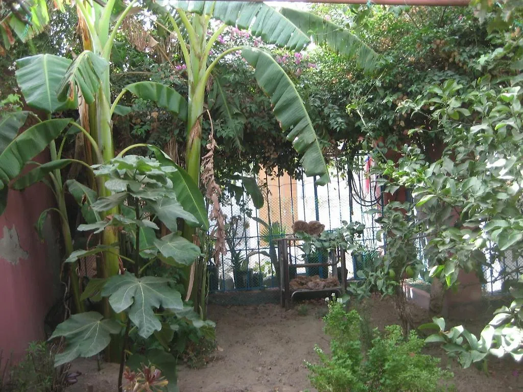 Guest house Dar El Yasmine Tunis Hotel